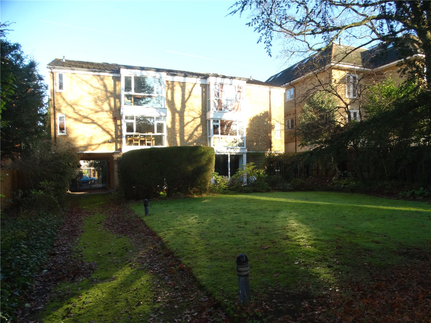 Communal Garden